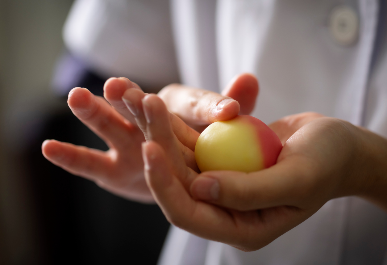 五感を刺激する和菓子を